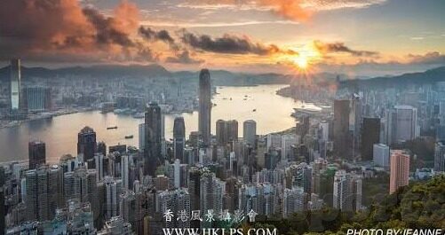 足球网实时比分-足球网实时比分，连接全球绿茵激情的数字纽带